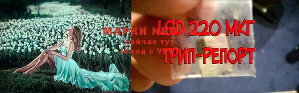 дживик Баксан
