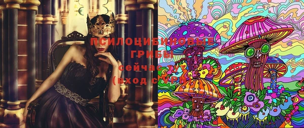 дживик Баксан
