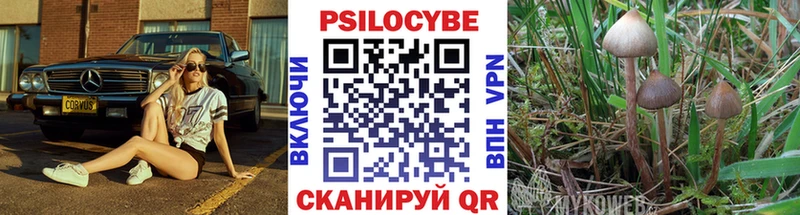 Псилоцибиновые грибы GOLDEN TEACHER  купить  цена  Воткинск 